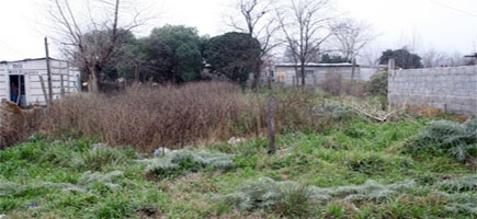 Este es el terreno que adquiri la Pea azulgrana de Tandil para su sede